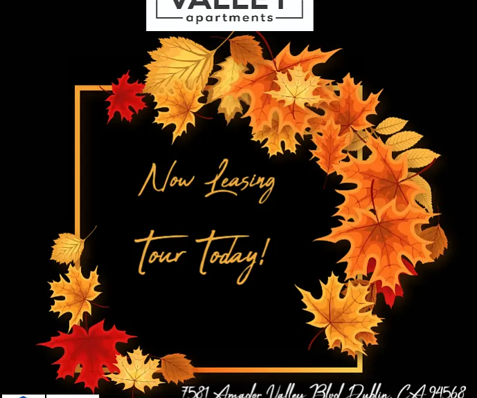 The Valley Apartments — Photo 35