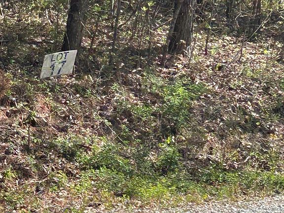3rd image of LOT 27 Jones Ridge Rd