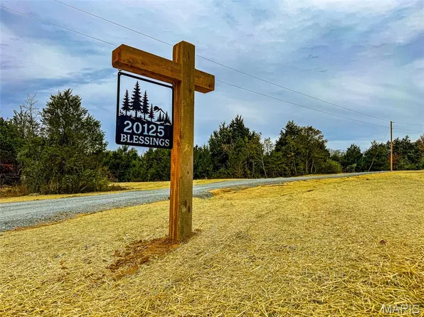 20125 Blessings Ln, Farmington, MO 63640