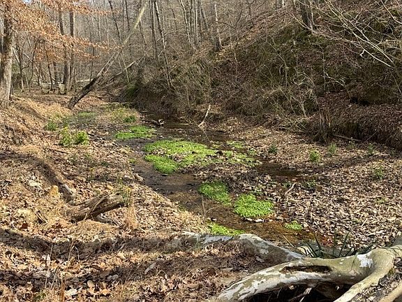 5th image of 6223 Bell Branch Trl