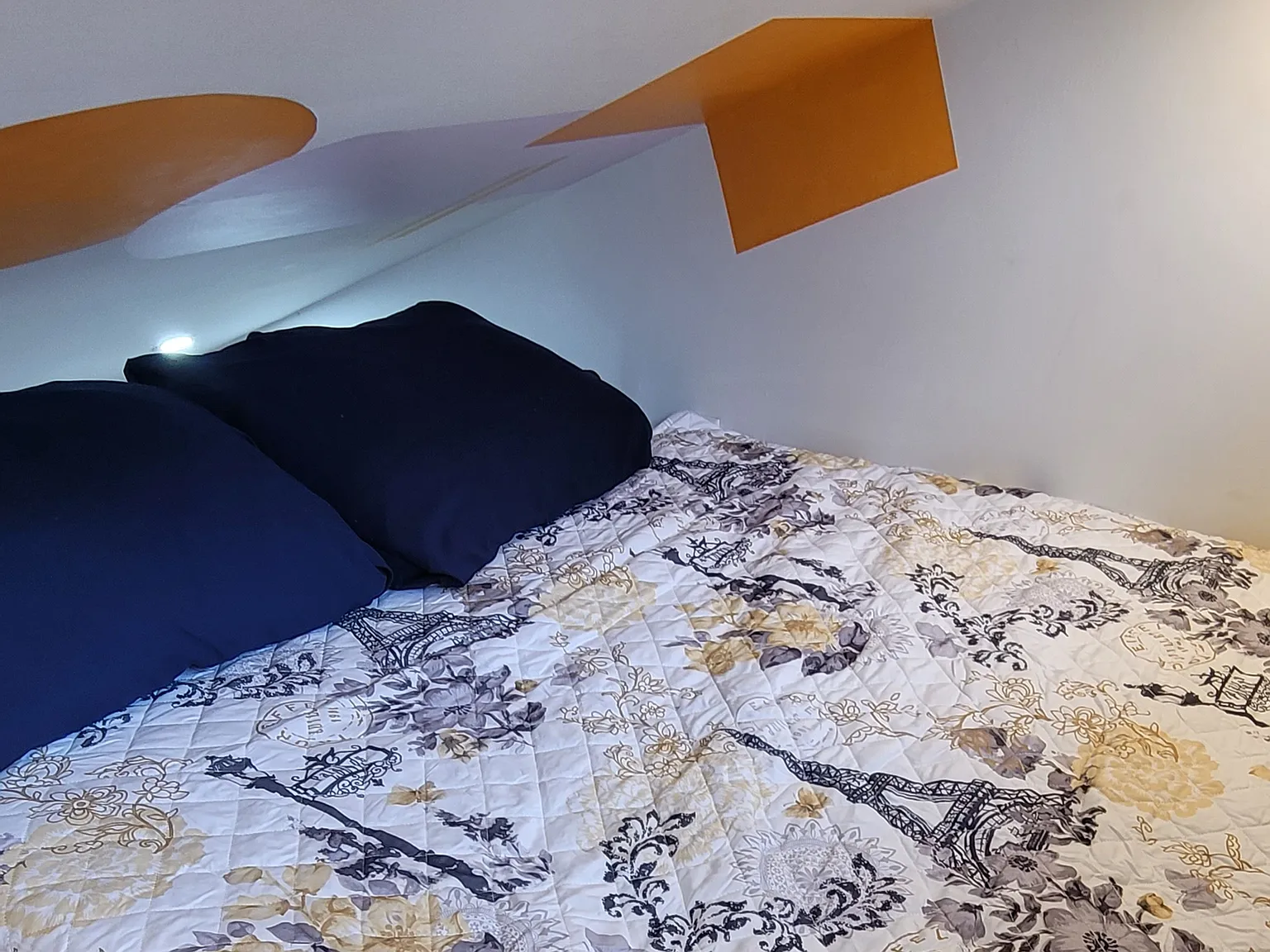 1 bed, 144 sqft, $800 — Photo 3