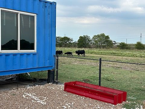 Watch cows graze across the fence from your yard.