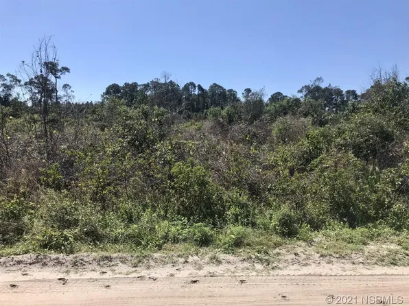 4150 Quail Nest Ln, New Smyrna Beach, FL 32168
