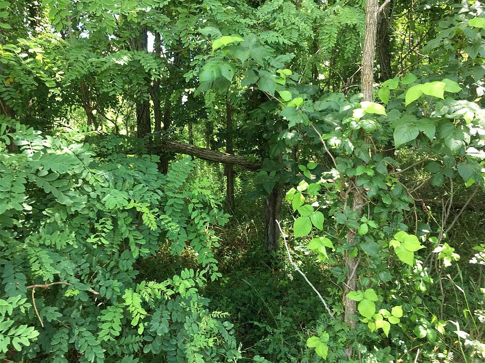 2nd image of 8969 E Highway 60