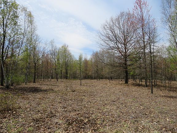 4th image of N Chippewa Rd