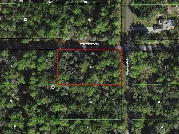 8336 N Maple Ave, Crystal River, FL 34428