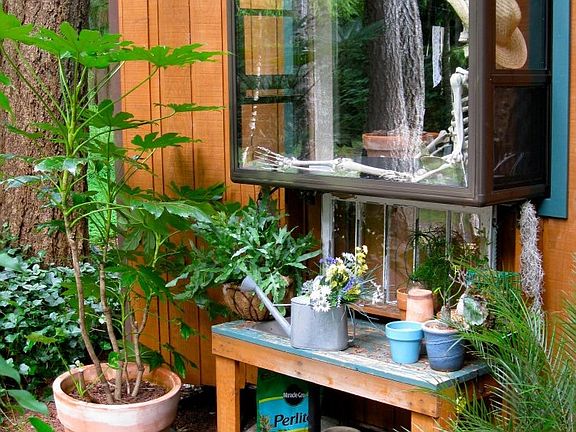 Garden window in office