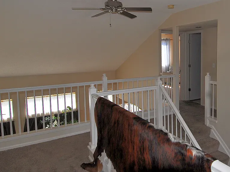 55 S Carlton St — Photo 15