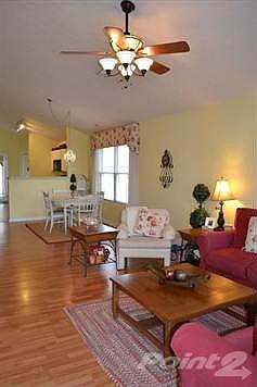 Wide open floor plan with laminate floors.