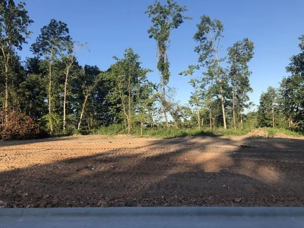 Lot 28 S Dollison Avenue, Springfield, MO 65810