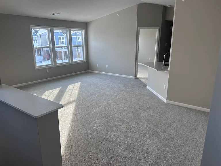 4262 Apple Branch Dr — Photo 3