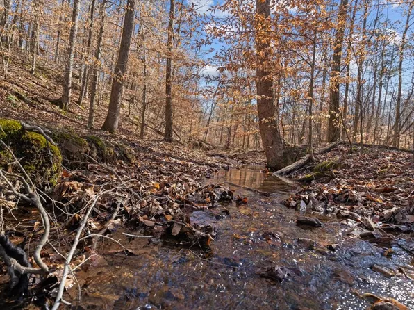 3571 Lick Creek Rd Lot 2, Linden, TN 37096