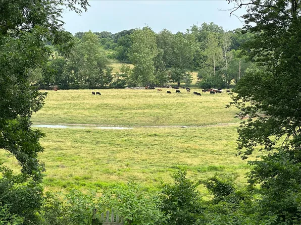 Lot 8 Patricia Park, Mt Vernon, MO 65712