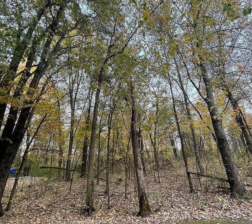2nd image of 0 Irwin Rd