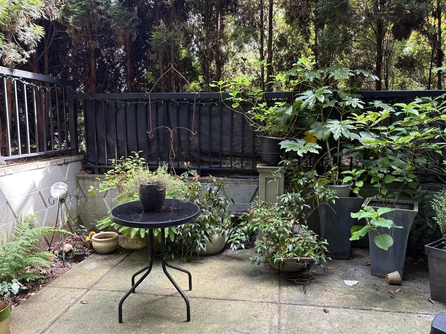 1 bed, 690 sqft, $2,200 — Photo 3
