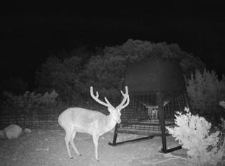 County Road 450 #450, Rocksprings, TX 78880