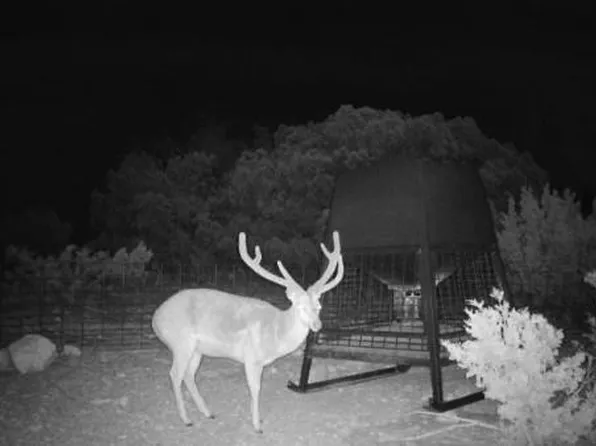 County Road 450 #450, Rocksprings, TX 78880