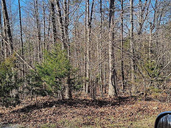 3rd image of 305 Black Forest Ln