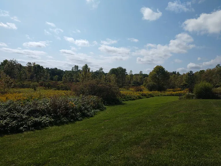 208 County Road 46 — Photo 43