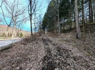 Ryan Hollow Rd, Cohocton, NY 14826