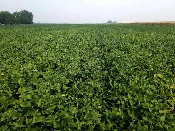 0 106th Trl, Little Sioux, IA 51545