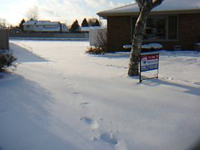 2nd image of 7955 Palm Ct