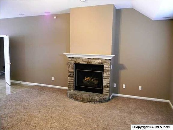 Gas fireplace
