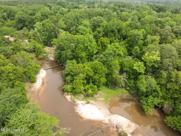 William Warren Rd, Collins, MS 39428