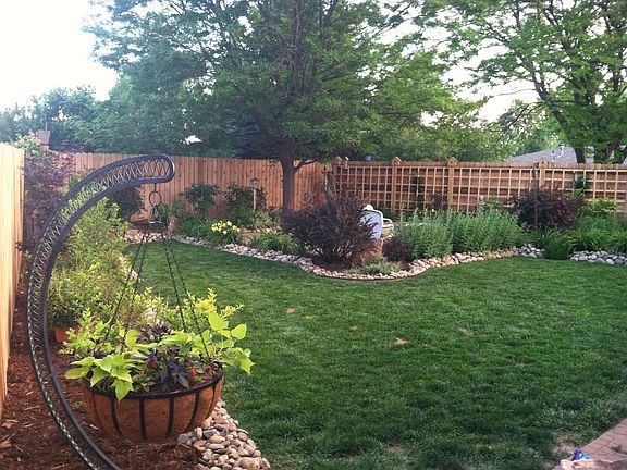 Back yard early summer 2011