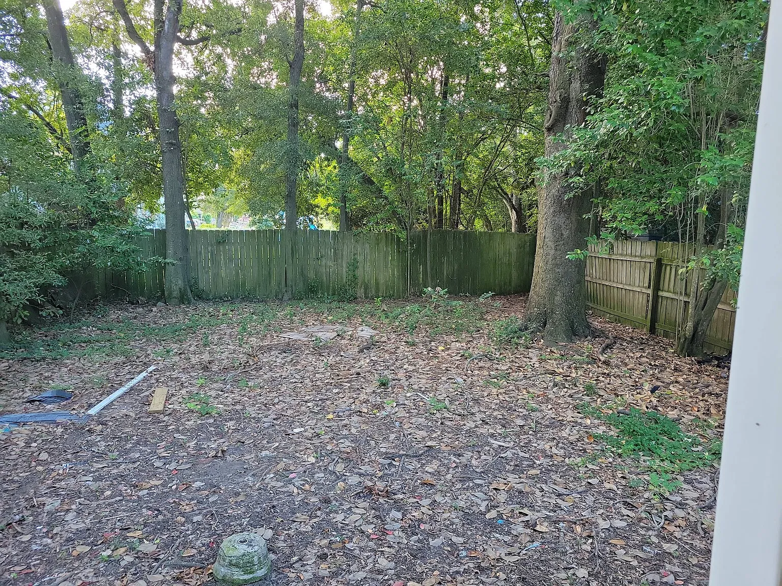 1821 Carlton St - 1 — Photo 3