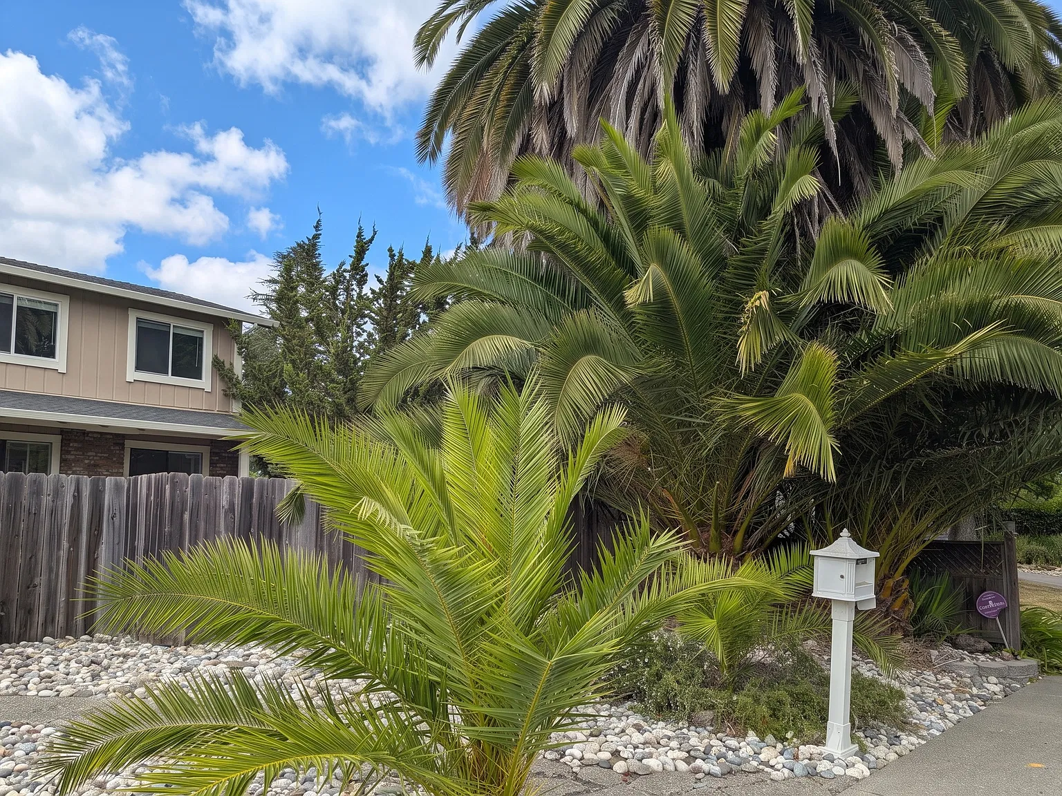 6 bed, 2770 sqft, $4,950 — Photo 2