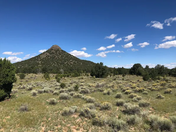 Mujeres Cir, Fence Lake, NM 87315