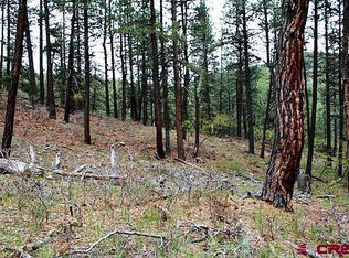 318 Antelope Dr, Bayfield, CO 81122