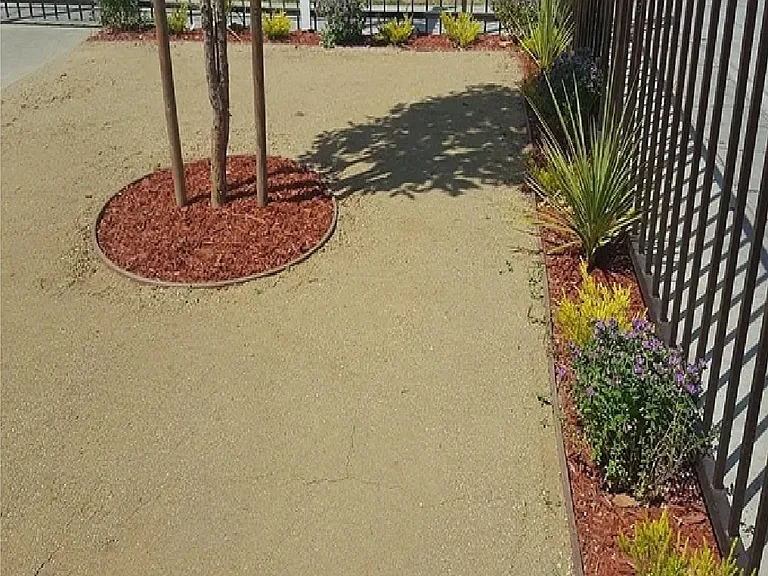 Front yard view