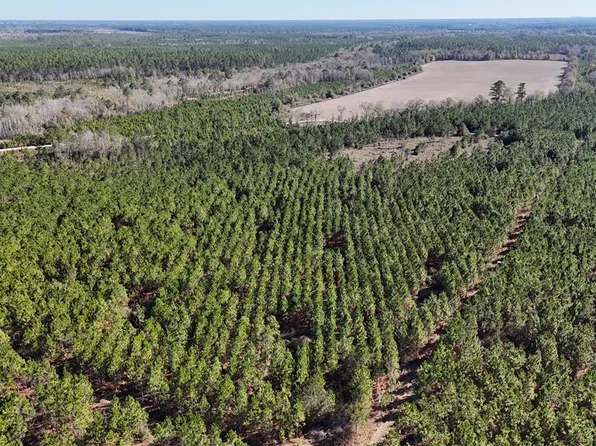 Owens Rd, Odum, GA 31555