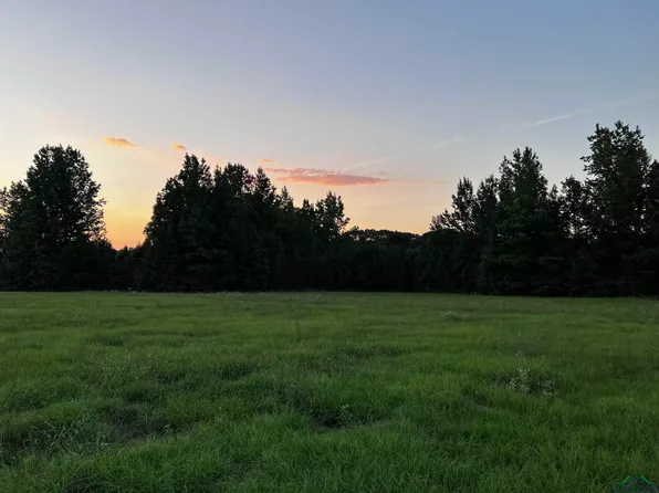 Ora Asa Johnson Rd, Harleton, TX 75651