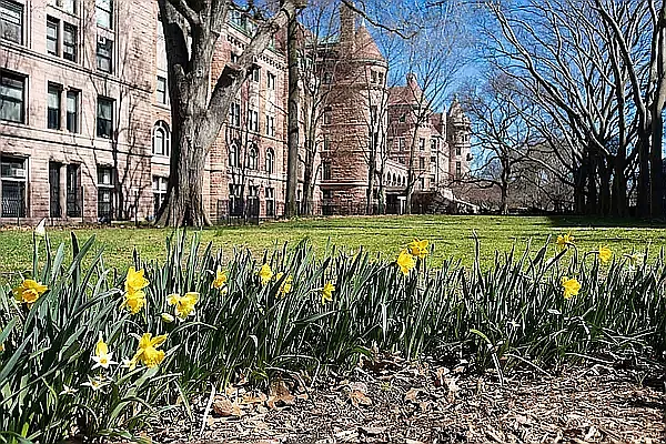 Rented by Vector New York, LLC | media 23