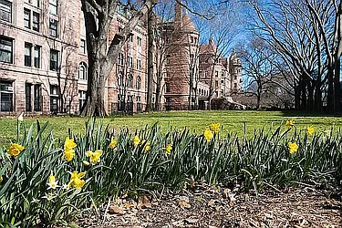 Rented by Vector New York, LLC