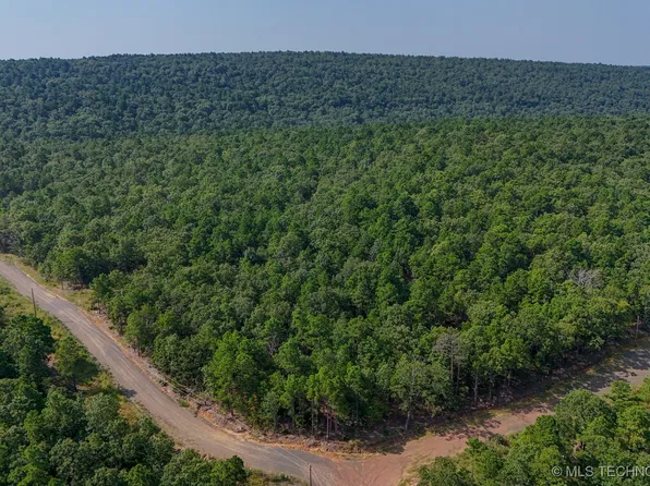 11 Moonshine Dr, Clayton, OK 74536