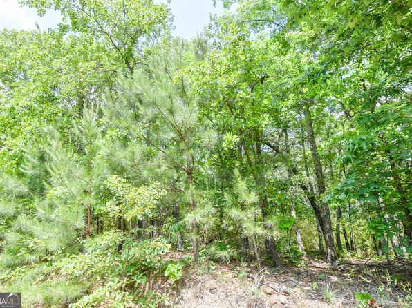 0 Skelton Rd Lot 15, Thomaston, GA 30286