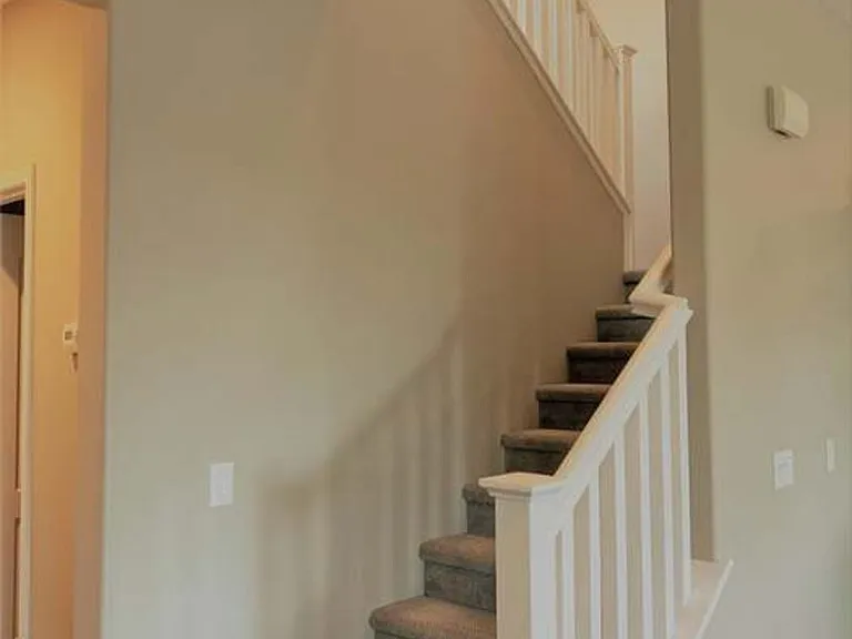 Red Spruce St — Photo 15