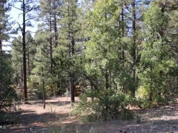 1160 S Cherokee Drive #35, Show Low, AZ 85901