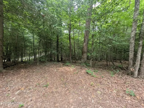 0 Model Farm Rd, Jamestown, TN 38556