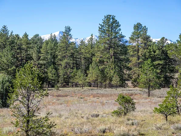 1563 19th Trl, Cotopaxi, CO 81223