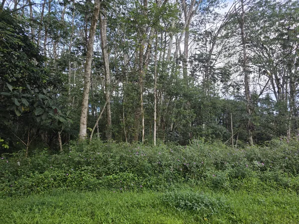 Lehua Cir Lot 404, Pahoa, HI 96778