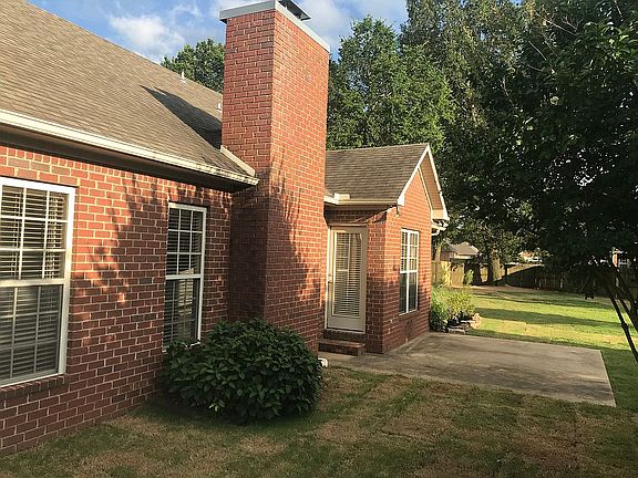 Backyard - new sod grew well