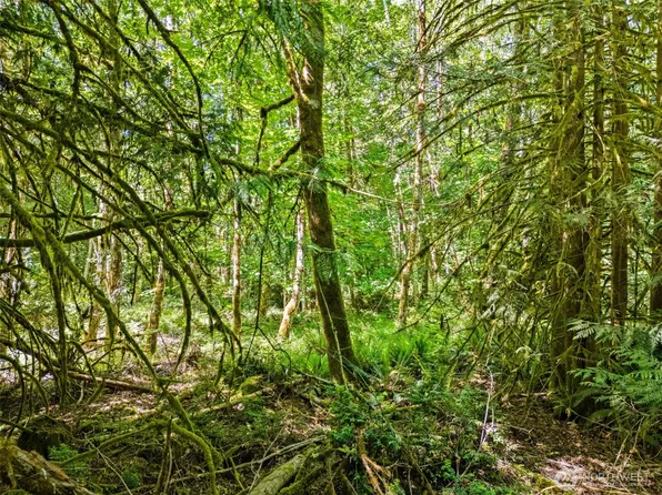 0 TR D E Jared Road, Shelton, WA 98584