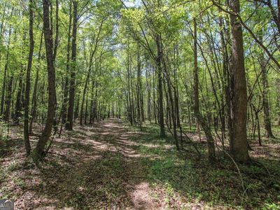 176 G W Bray Rd, Winterville, GA, 30683