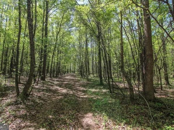 176 G W Bray Rd, Winterville, GA 30683