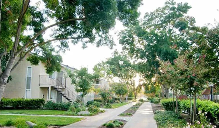Live Oak Apartments — Photo 19